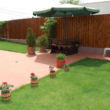 Hotel Casa Rad Sînmartin Zewnętrze zdjęcie