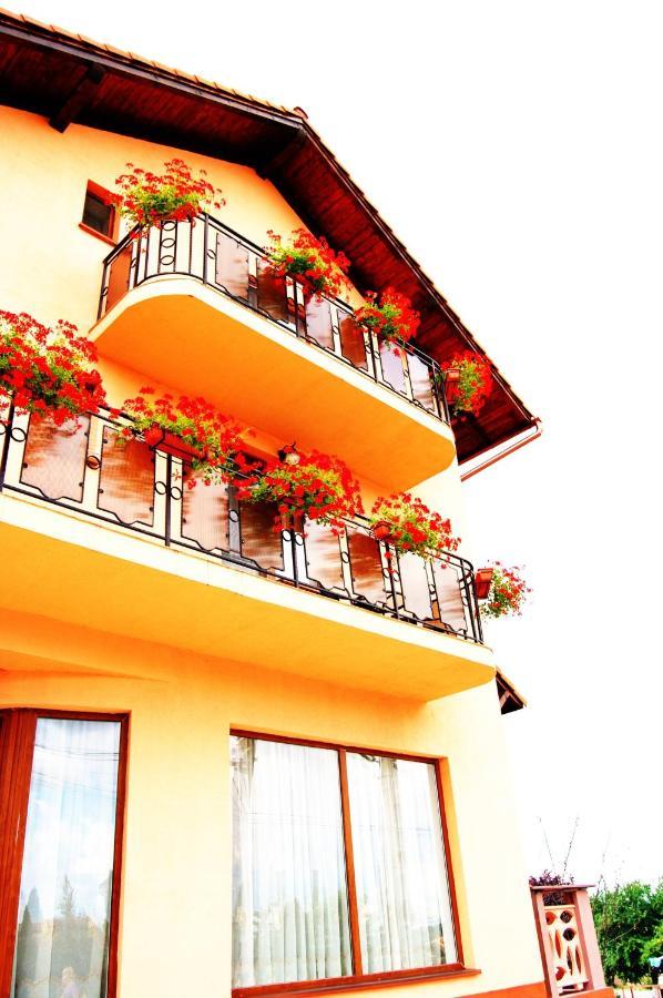 Hotel Casa Rad Sînmartin Zewnętrze zdjęcie